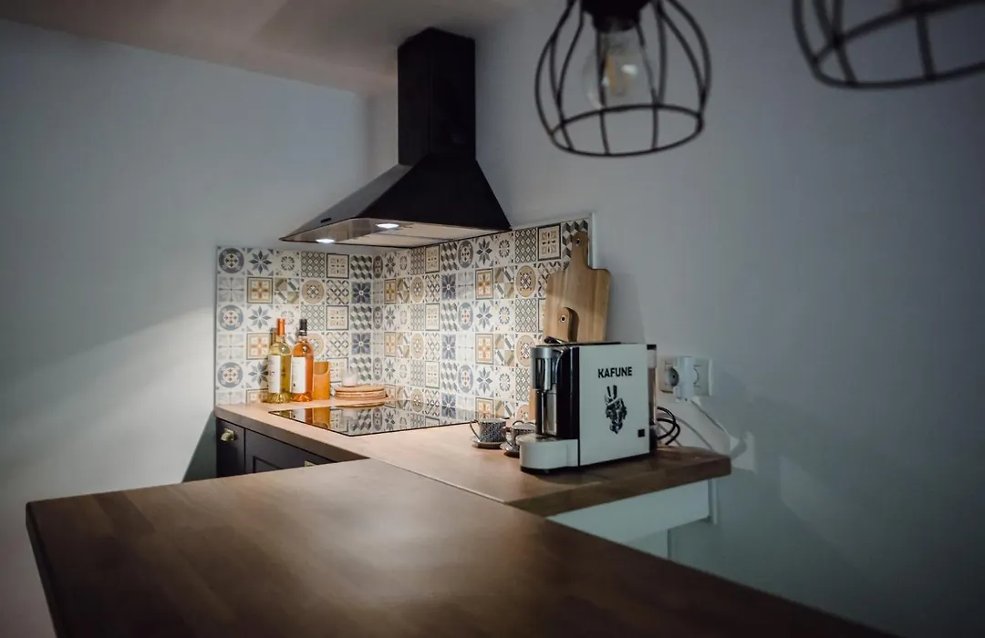 Cotroceni Accommodations-1